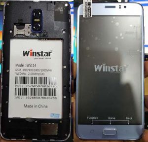 Winstar WS114 Flash File Lion