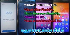 Huawei DRA-LX9 Flash File